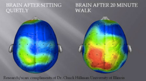 brain-scan-exercise